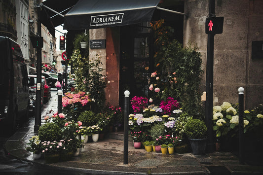 Portland for Seniors: Why the Rose City is a Top Retirement Destination in 2025