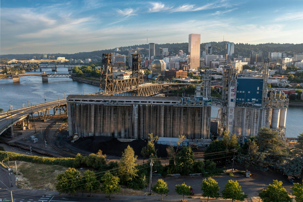 Social media is no longer optional for businesses in Port...