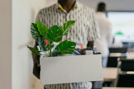 US Job Market Slowdown: August Data Shows Weak Hiring, Rising Layoffs